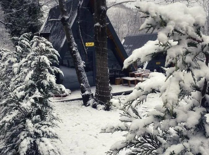 Loca Проживание в семье