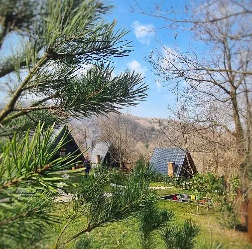 Проживание в семье Loca Сапанча